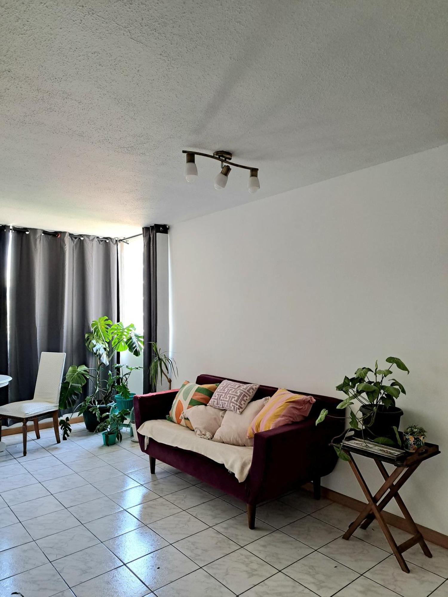 Habitacion En Departamento En Barrio Universitario Hospedagem domiciliar *